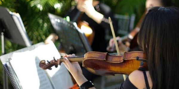 The Coco Plum Woman’s Club