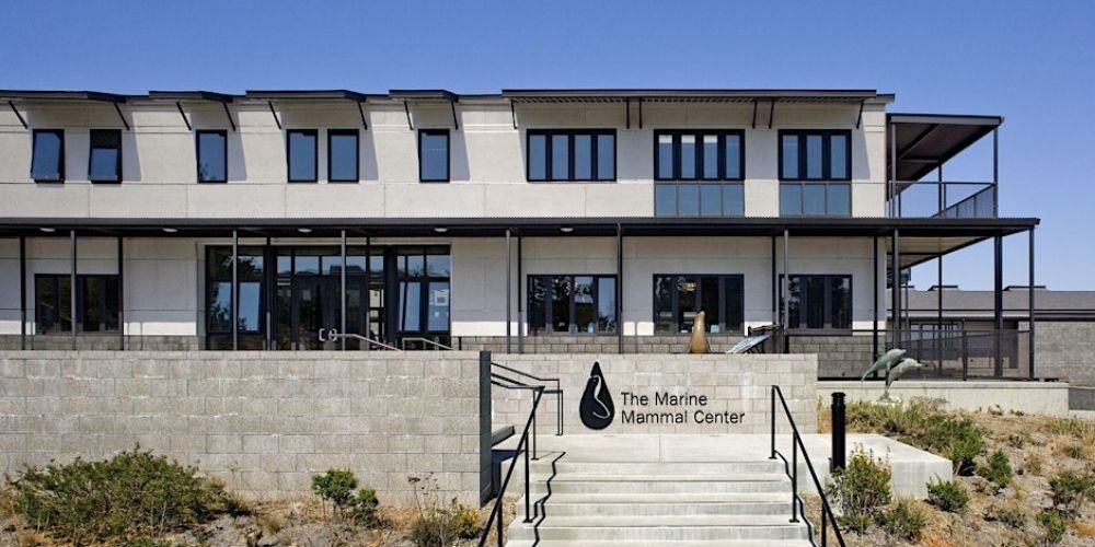 Pacific Marine Mammal Center