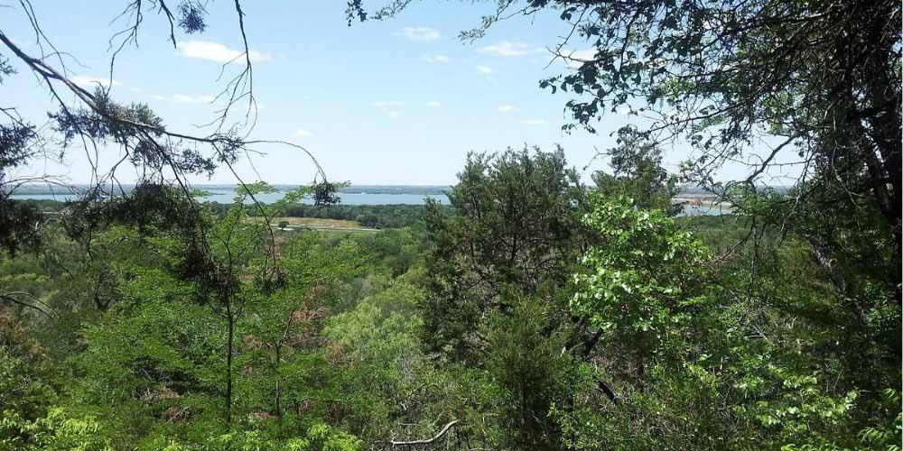 Cedar Ridge Preserve