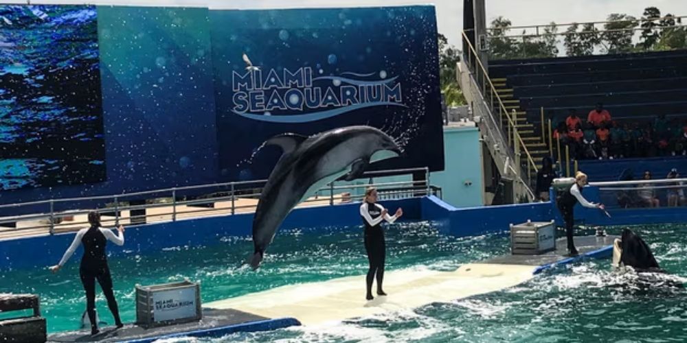 iami Seaquarium