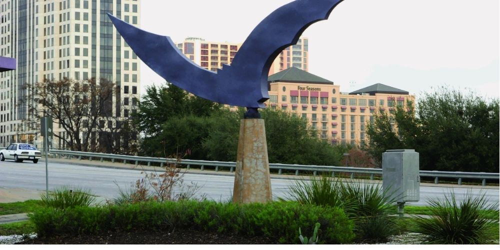 Bats at Congress Avenue Bridge