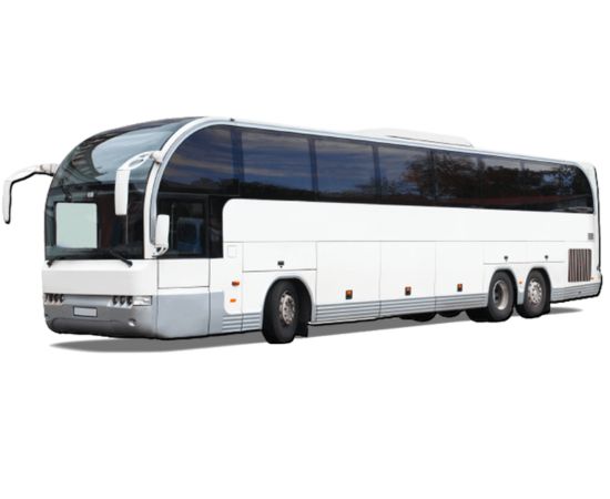 Wedding Charter Bus Rental